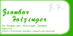 zsombor holzinger business card